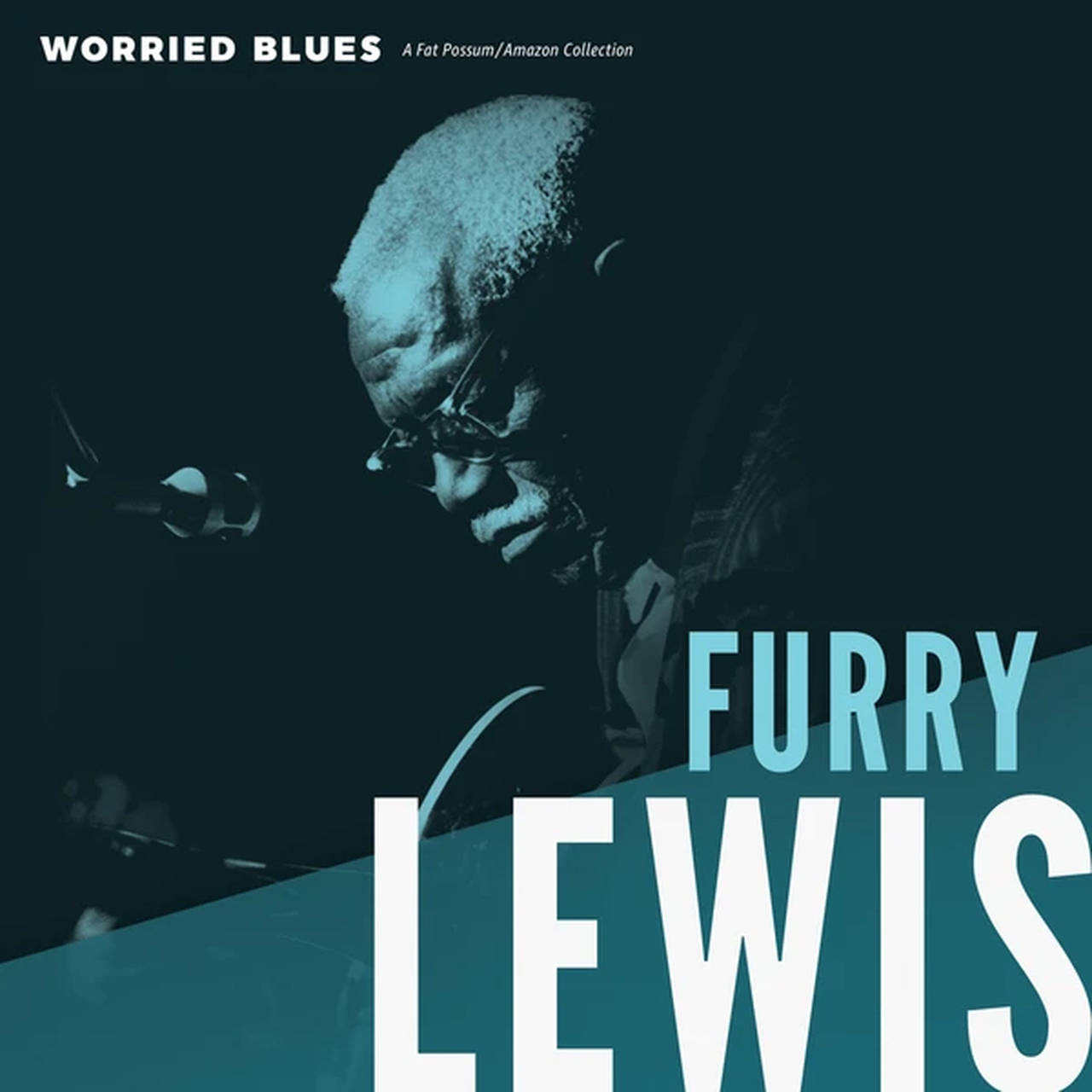 Furry Lewis Worried Blues LP (Vinyl)