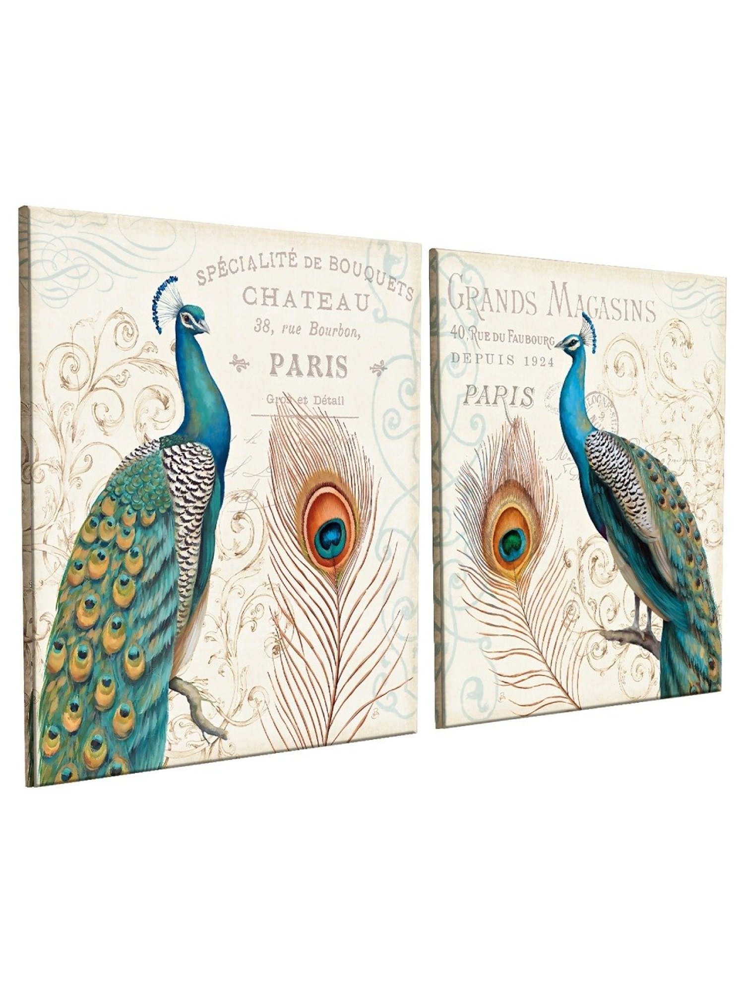Art Street Peacock Printed Multicolor Cotton Canvas Wall Art - Set Of 2