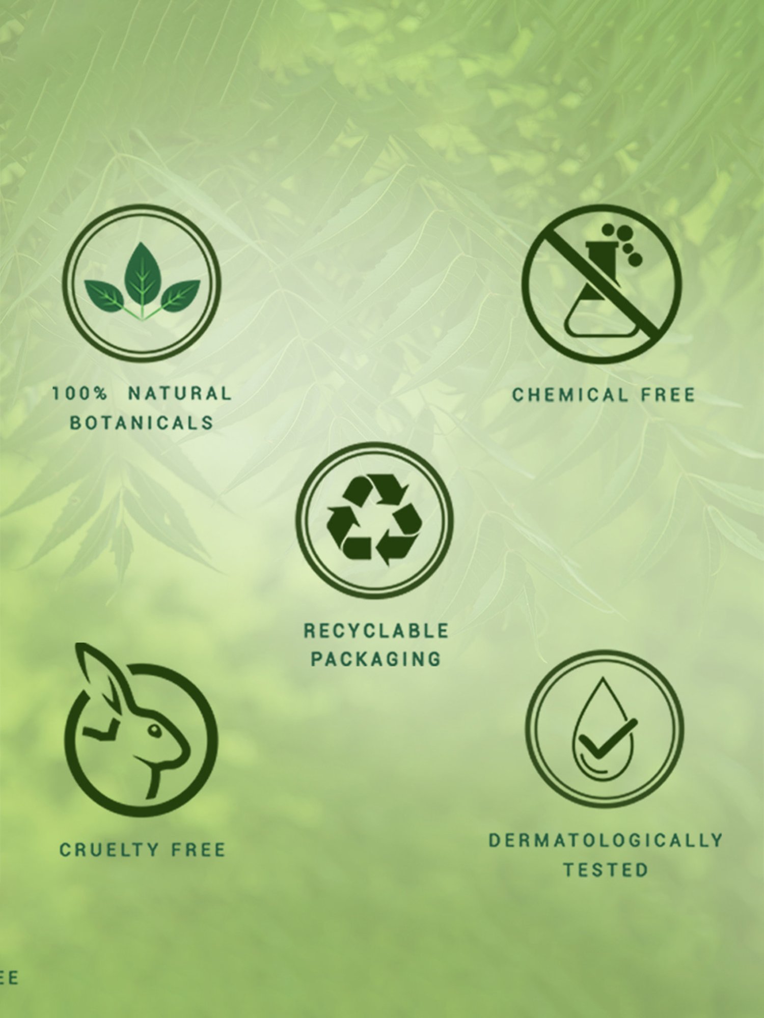 Biotique Party Ready Instant Glow Facial Kit