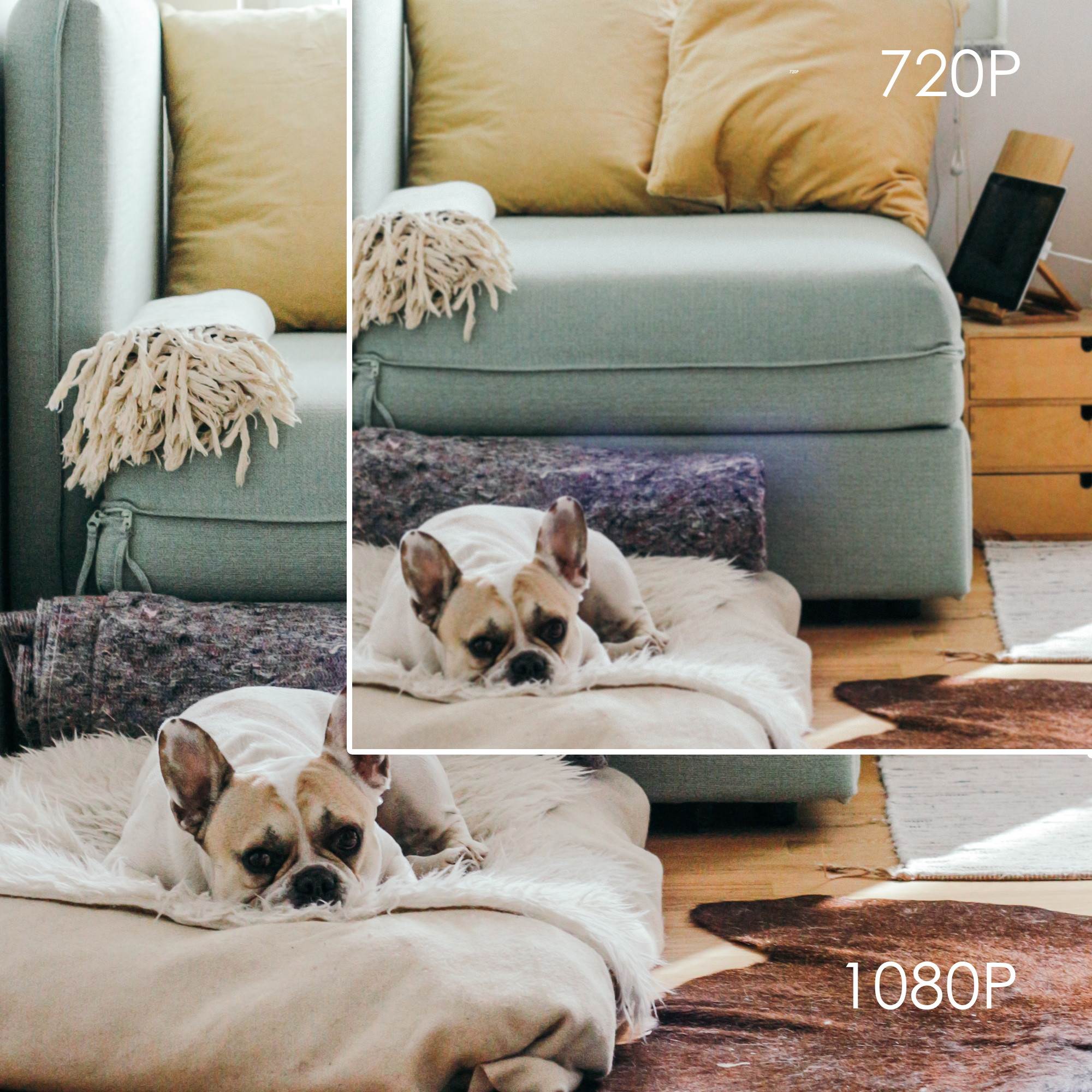 Loocam 8CH 1080P HD-TVI Video DVR Security Camera System, 4X 2.0 MP(1920x1080P) Surveillance Camera Kit, Motion Detection and Email Alert, Intuitive Android and iOS APP(2TB Hard Drive Included)