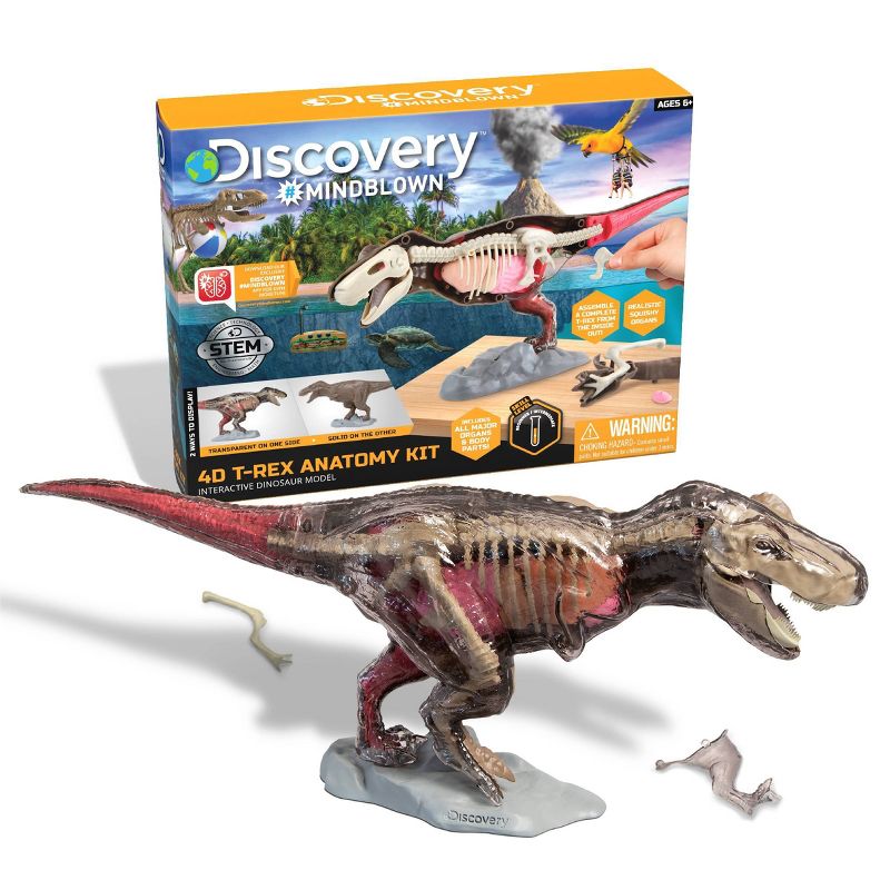 Discovery Kids Toy Anatomy T-Rex Kit Science Kit