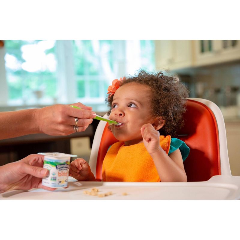 Stonyfield Organic YoBaby Pear & Peach Whole Milk Kids' Probiotic Yogurt - 6ct/4oz Cups