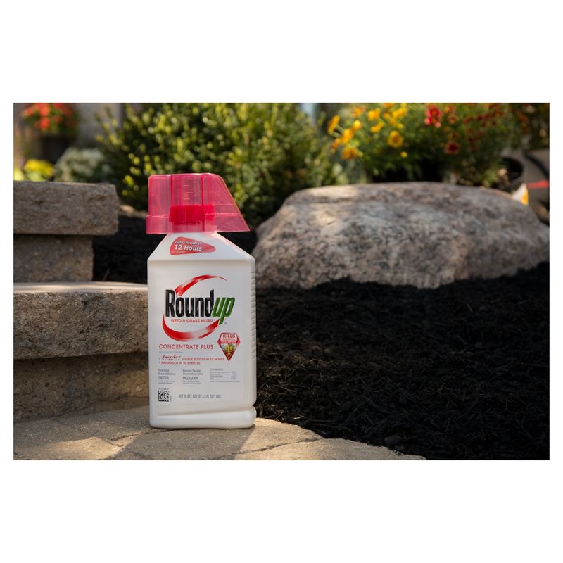 DeWitt 14 x 14 Foot Home & Garden Bird Barricade Plant Protector Deluxe Netting