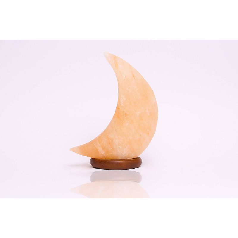 Moon Himalayan Salt Novelty Table Lamp - Q&A Himalayan Salt