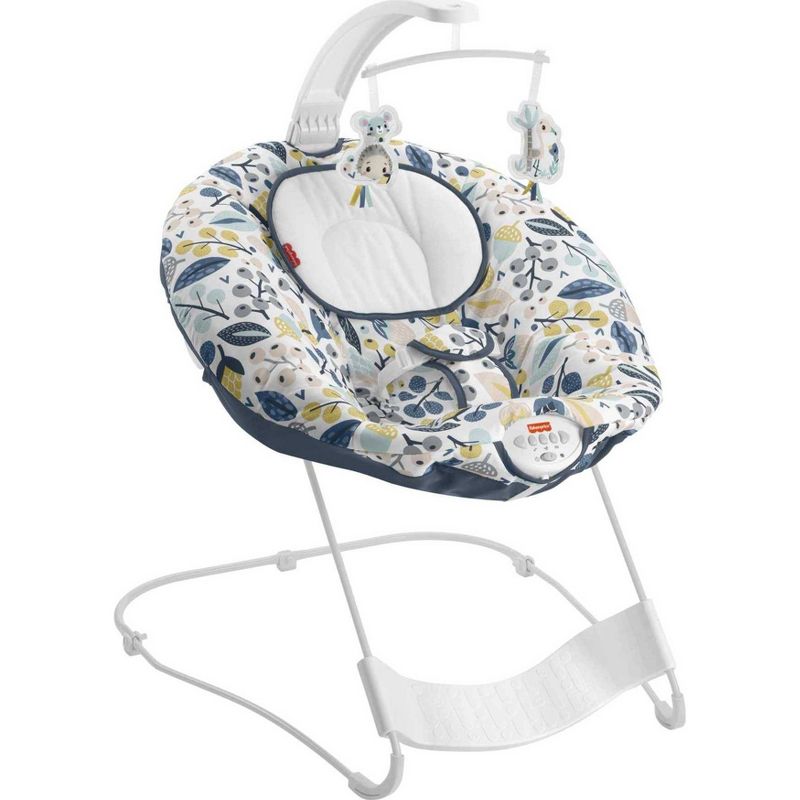 ​Fisher-Price Baby Bouncer