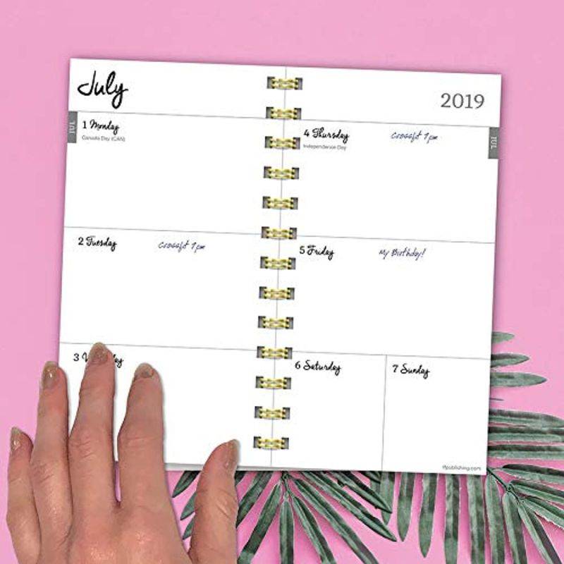July 2019 - June 2020 Painted Stripes Small Daily Weekly Monthly Planner