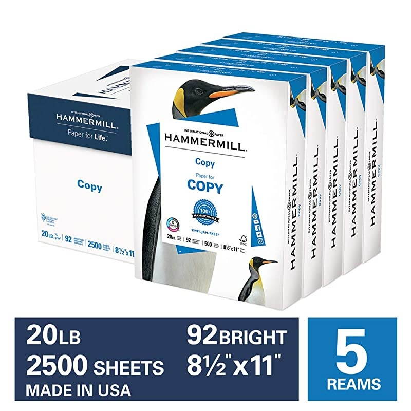 Wireless Security Camera 1080p Home Smart WiFi Camera Indoor 360 Degree PanTiltfor PetElderBaby Monitor with Panoramic View Night VisionTwoWay AudioMotion Detection24G WiFi No TF Card