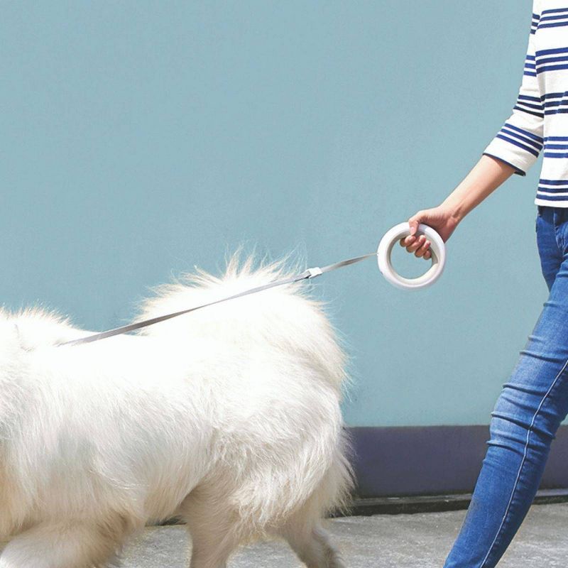 Instachew Smart Space Leash - White