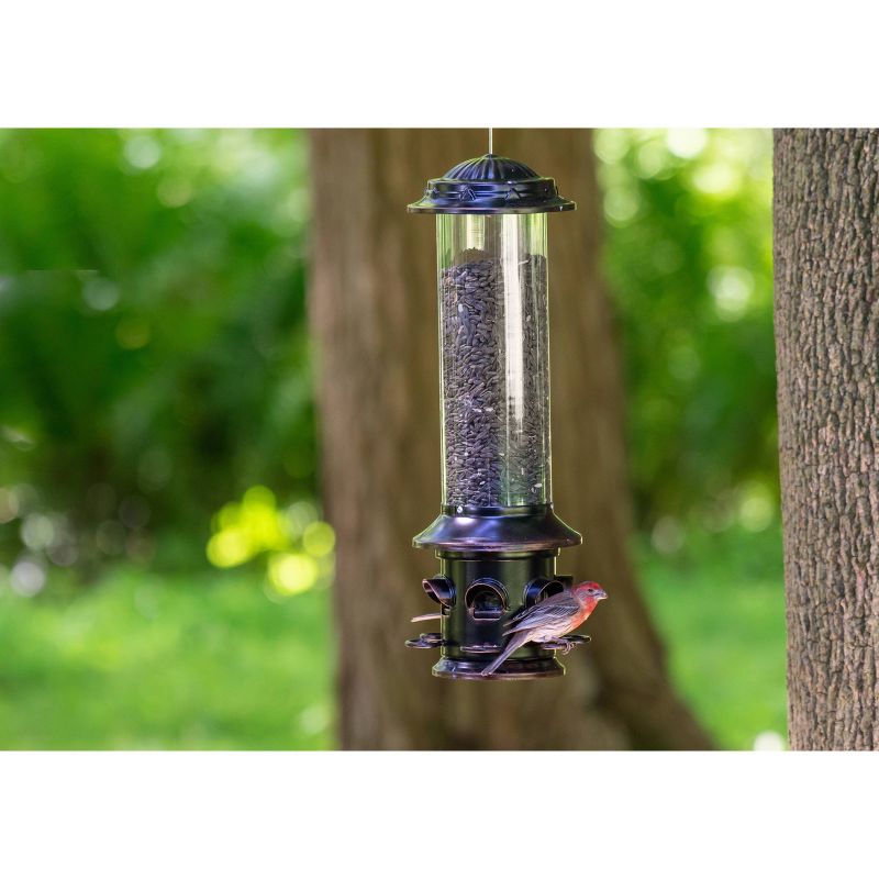 Droll Yankees Oil Rubbed Squirrel X Proof Bird Feeder - Bronze