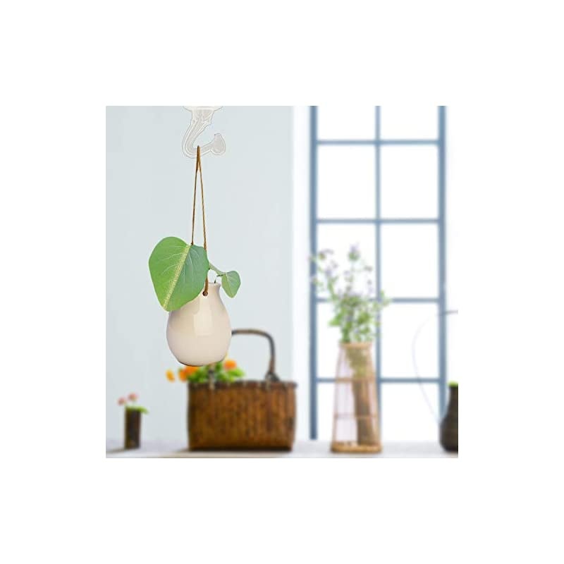 Sets Ceiling Hooks - Heavy Duty Swag Hook with Steel Screws Bolts and Toggle Wings for Hanging Plants Ceiling Installation Cavity Wall Fixing White