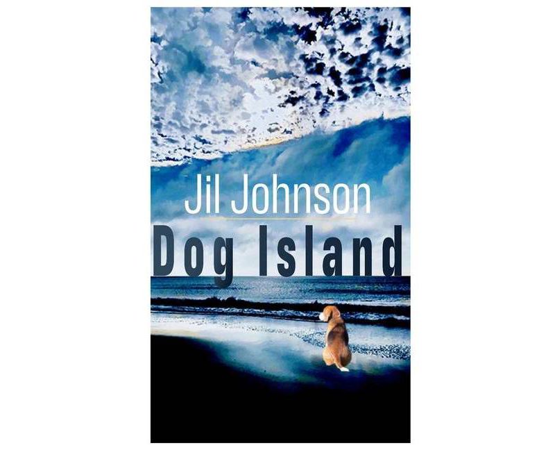 Behold the Personal Maine Coon - by  Phyllis Stiebens (Paperback)