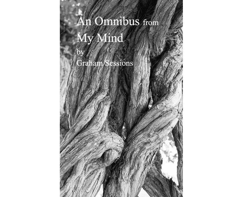 Stepwell - (Seattle Youth Poet Laureate) by  Azura Tyabji (Paperback)