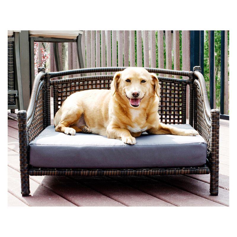 Iconic Beds for Dogs and Cats - Rattan Maharaja Bed - Brown
