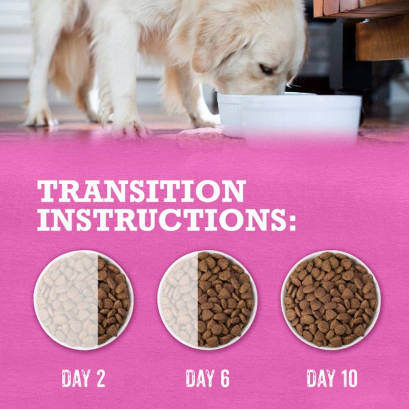 Purina Beyond Grain Free Beef & Egg Recipe Dry Dog Food - 3lbs