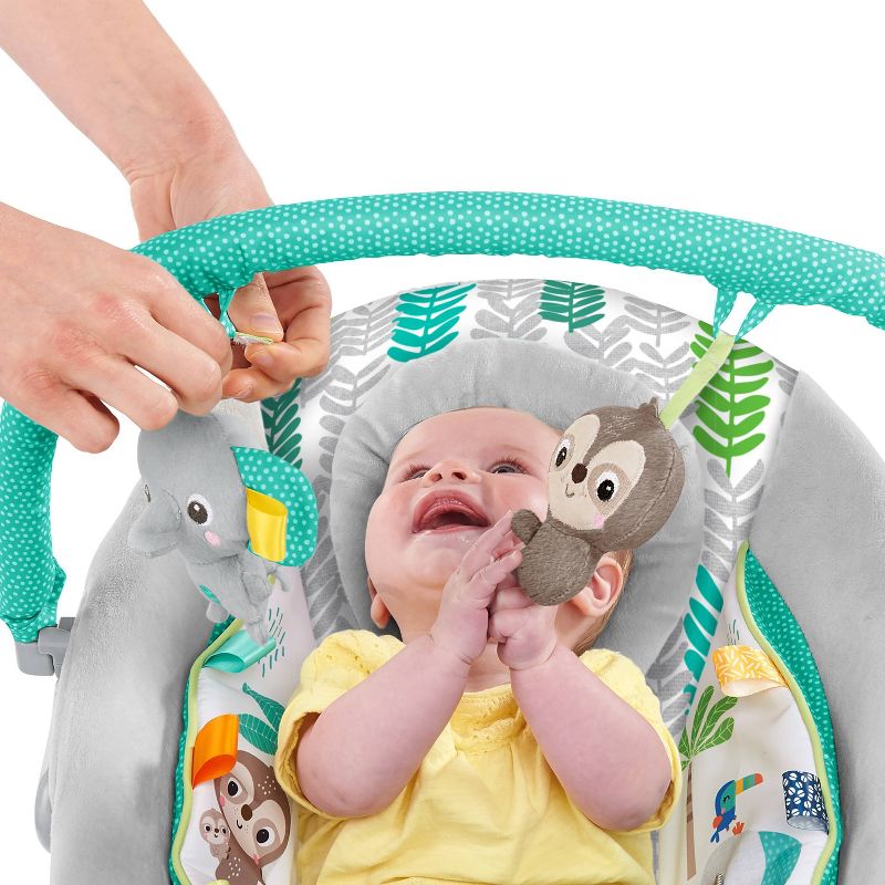 ​Fisher-Price Baby Bouncer