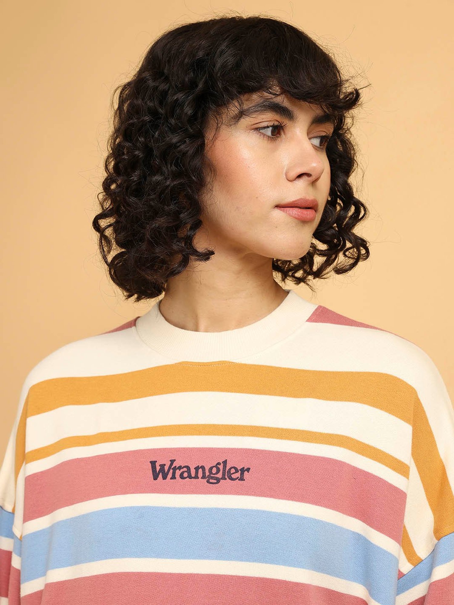 Wrangler Multicolor Striped Oversized Pullover