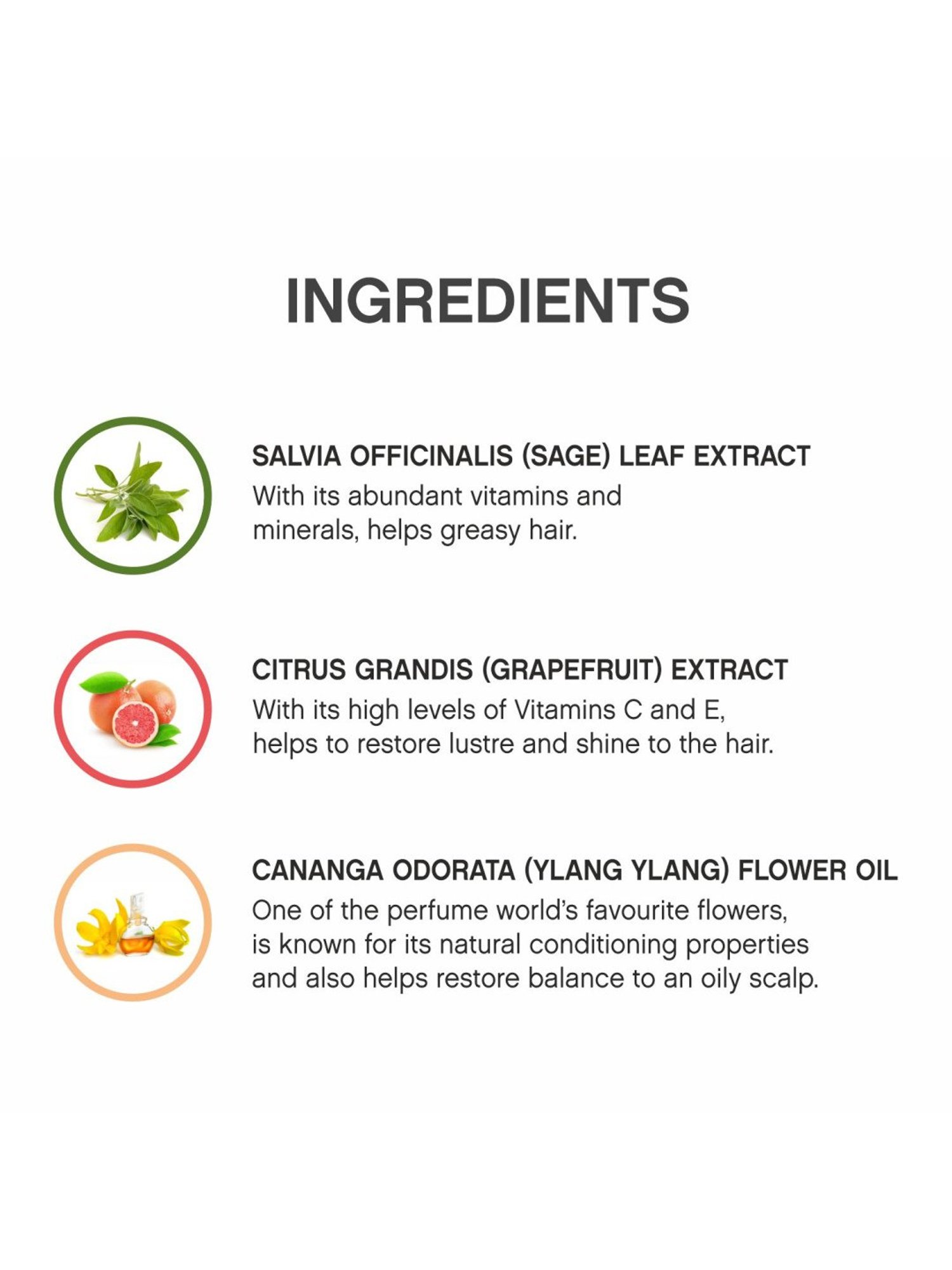 KEVIN MURPHY BALANCING.WASH 250 ML