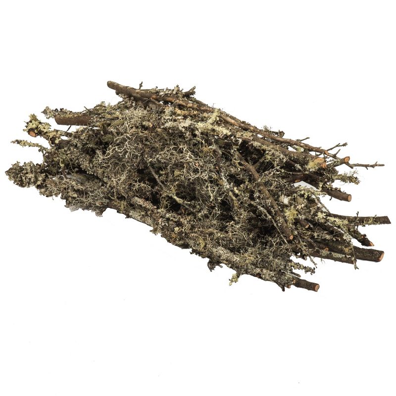 Vickerman Natural Curly Lichen Branches, bulk, Dried
