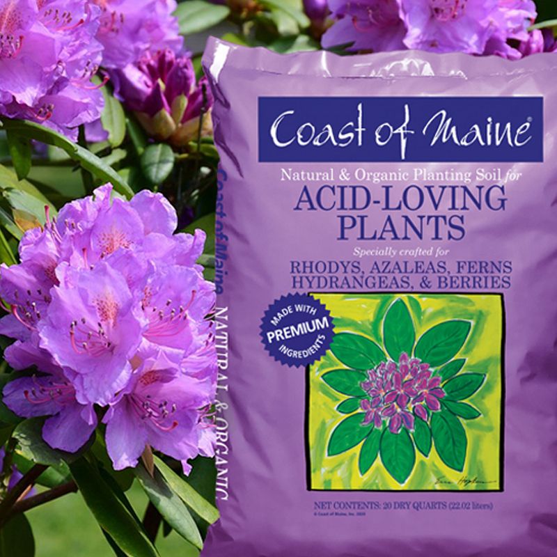 Coast of Maine Organic Natural Garden Compost Potting Planting Soil Blend for Acid Loving Plants, Bushes, and Flowers, 20 Quart Bag (2 Pack)