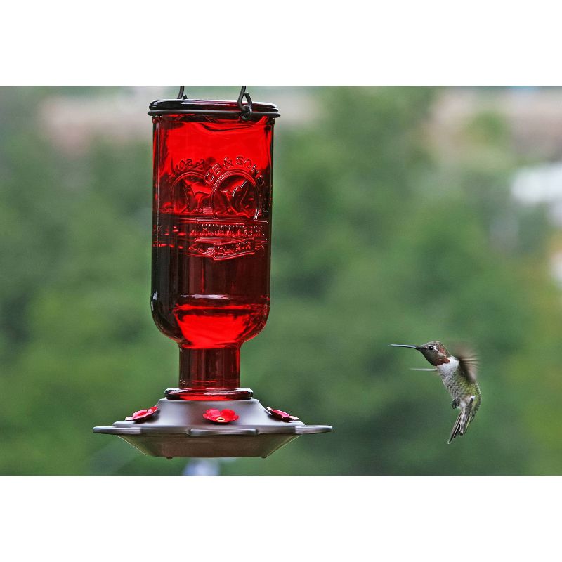Droll Yankees More Birds Elixir Hummingbird Feeder - Red/Bronze