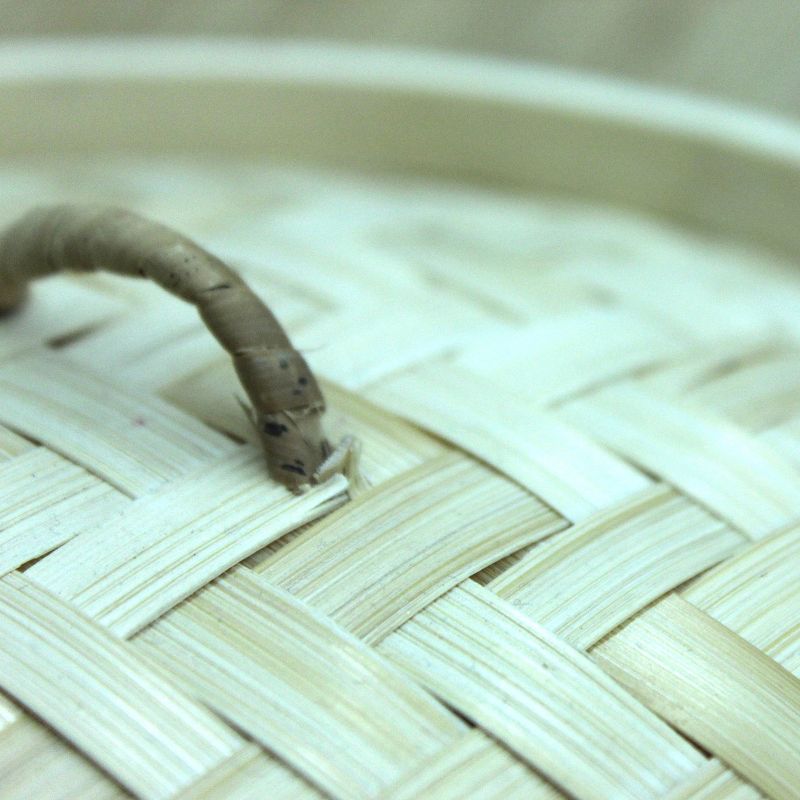 Oster Double Food Steamer - White