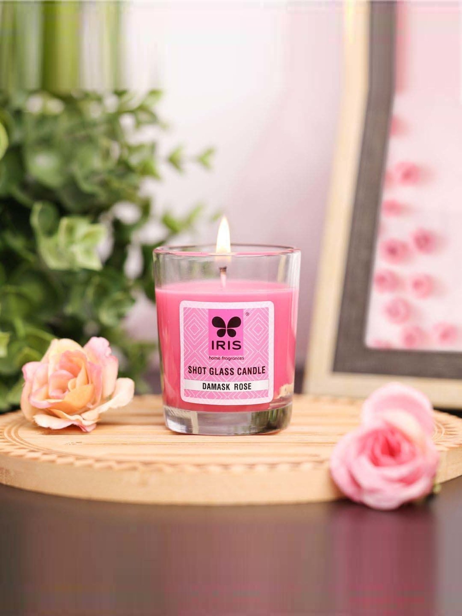 IRIS Pink Home Fragrances Damask Rose Shot Glass Candle - Set of 5