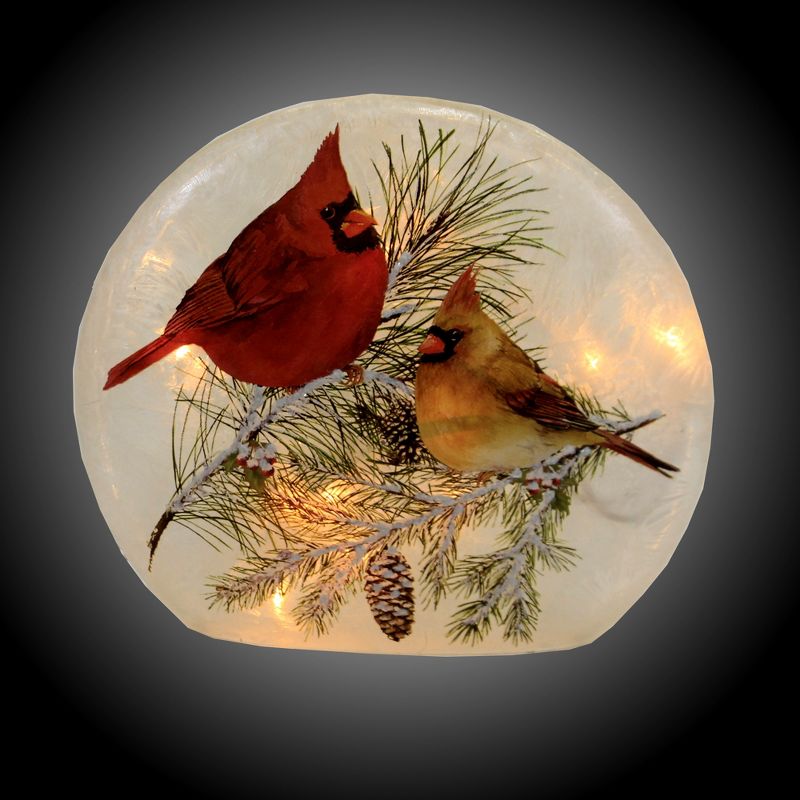 J. Hofert Co 25ct C7 Christmas String Lights Transparent Clear - 24' Green Wire