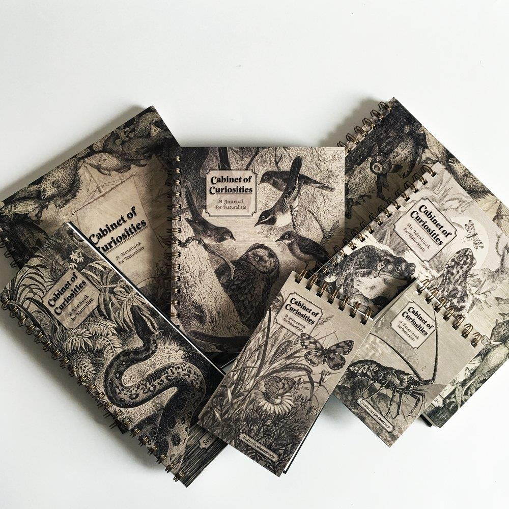 Action Publishing Cabinet of Curiosities &middot; De Historia Piscium NoteBook &middot; Side-Bound Notebook, 140 Off-White Pages with Various Fish Illustrations (8.5 x 11 inches)