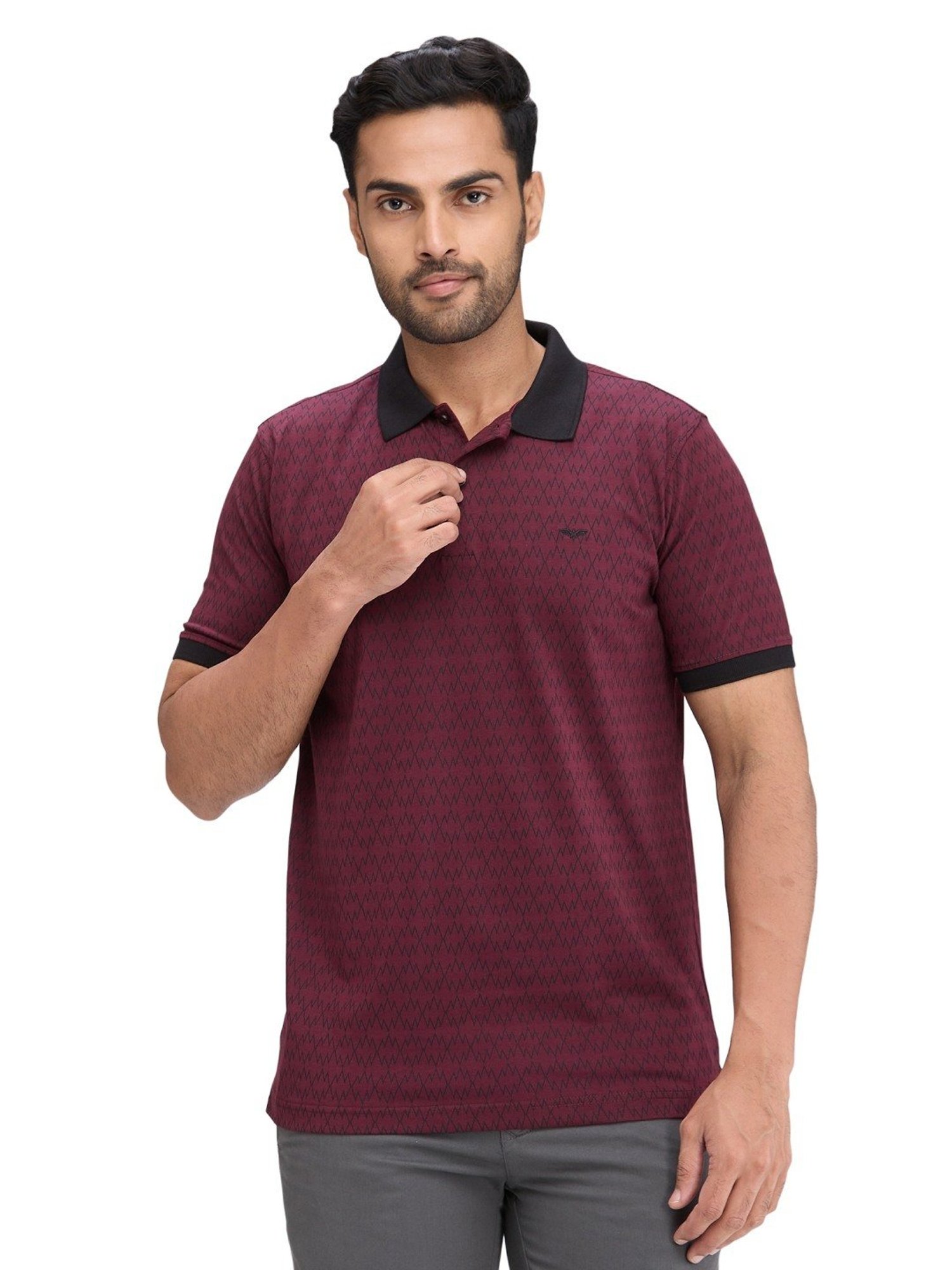 Park Avenue Maroon Slim Fit Printed Polo T-Shirt