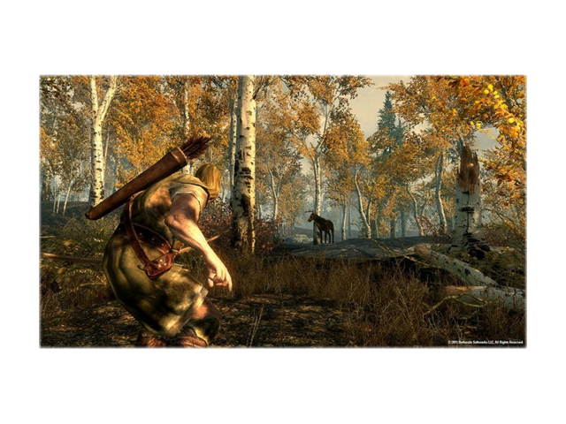 Elder Scrolls V: Skyrim PC Game