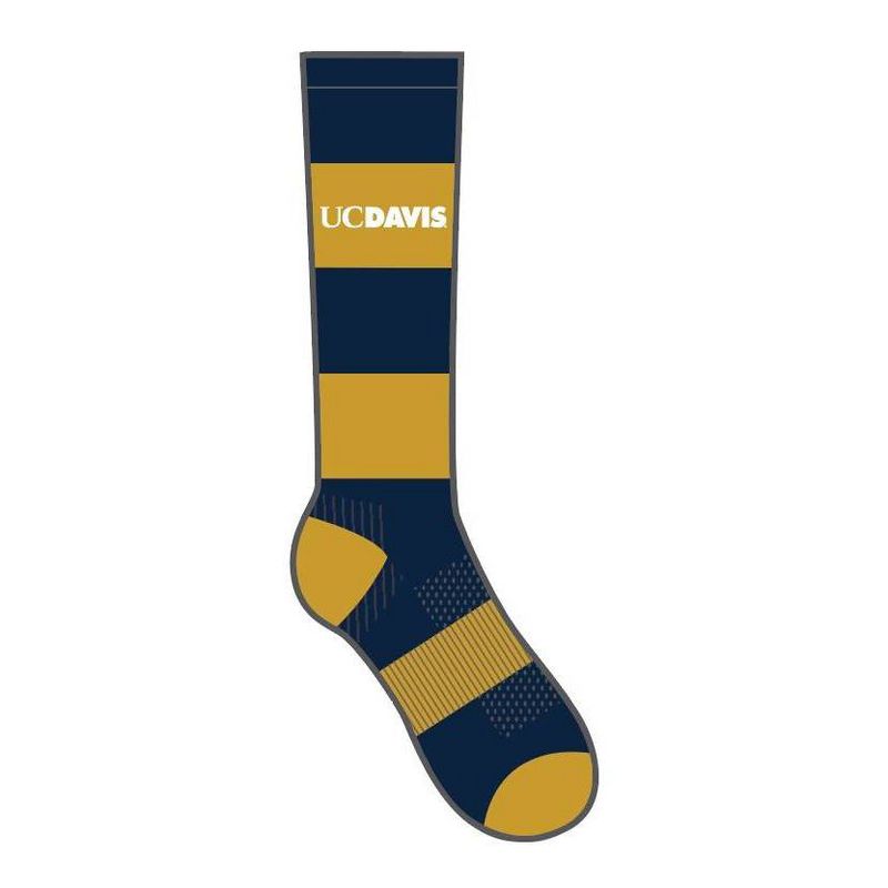NCAA Notre Dame Fighting Irish Men's Sweet Victory Crew Socks 10-13