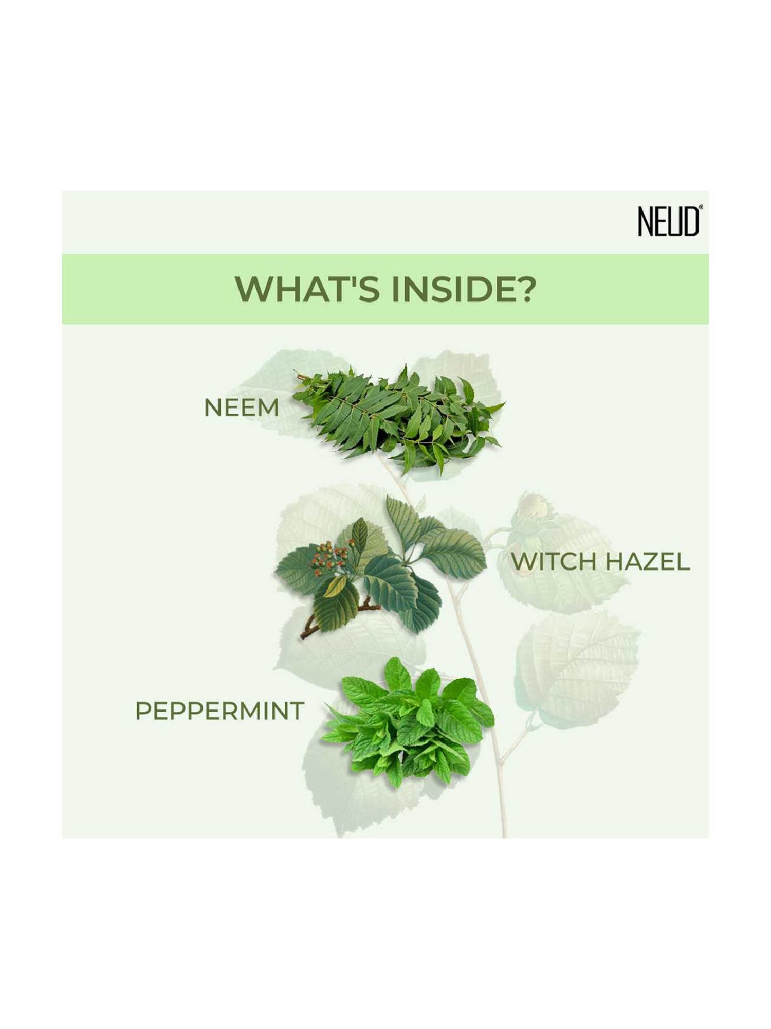 The Love Co. 100% Pure & Natural Rose Water - 100 ml