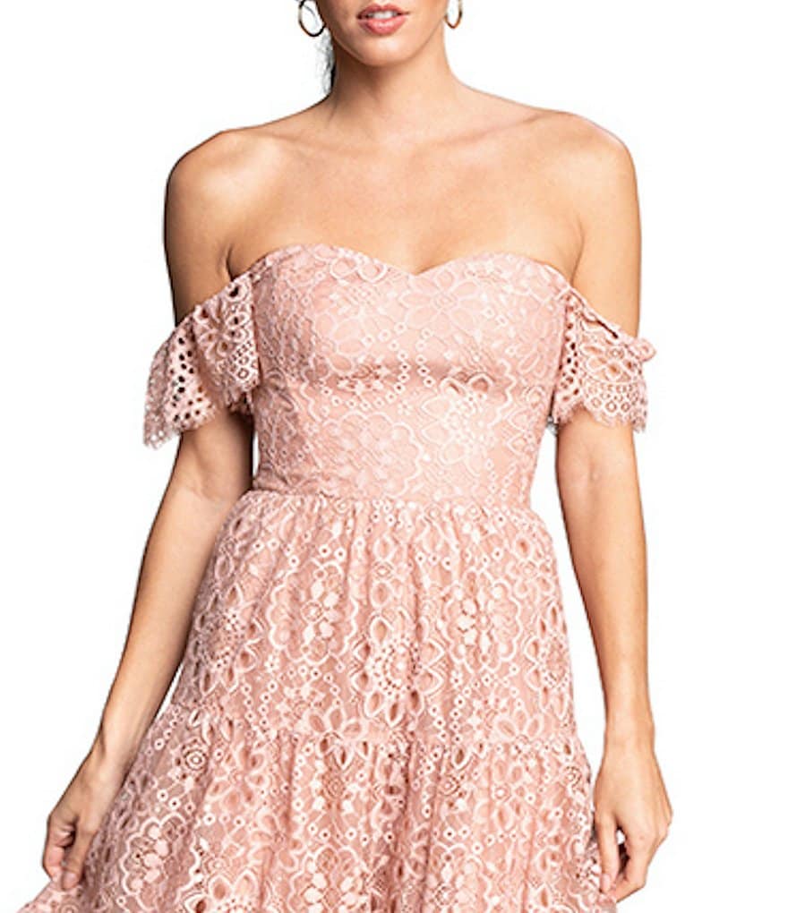 Dress the Population River Off-the-Shoulder Lace Midi Dress