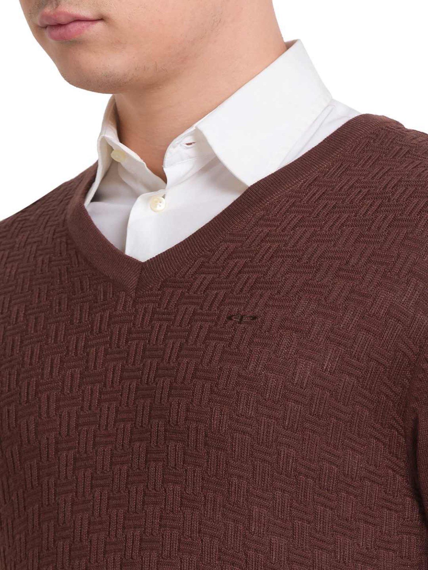 ColorPlus Brown Tailored Fit Self Pattern Sweater