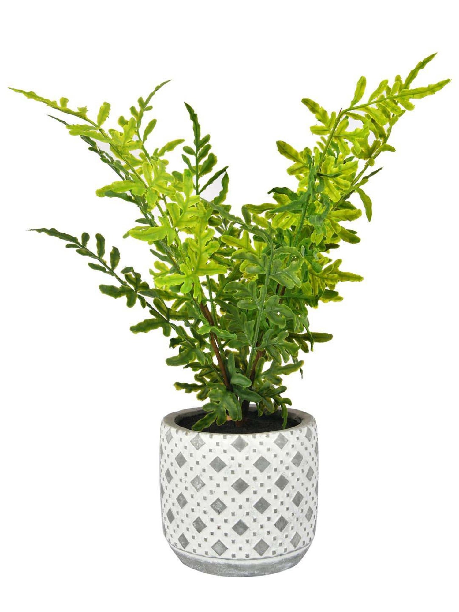 Tayhaa Grey & Green Ceramic Diamon Patterned Pot With Artificial Fern