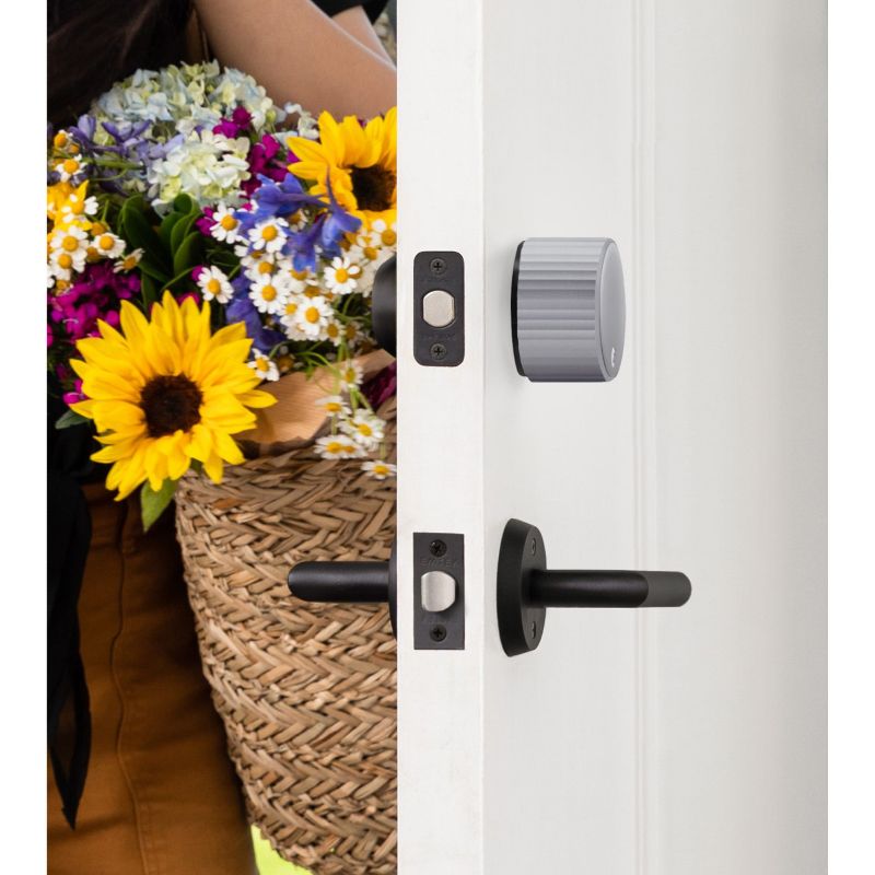 DynaLock - 2268-TJ10 DSM - DYN2268-TJ10 DSM DynaLock Maglock