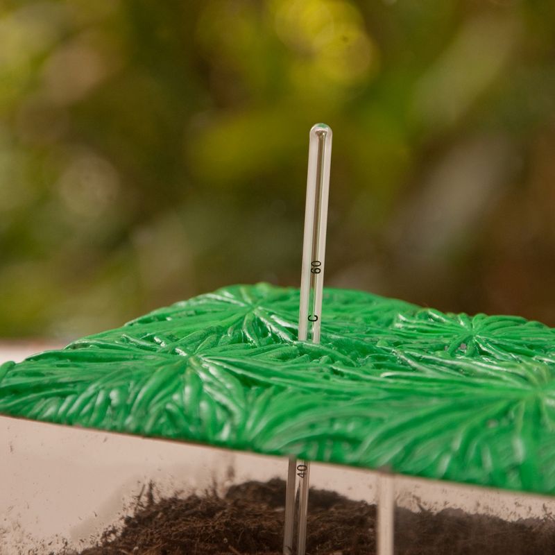 Educational Insights Now You See It, Now You Don't Composting Kit