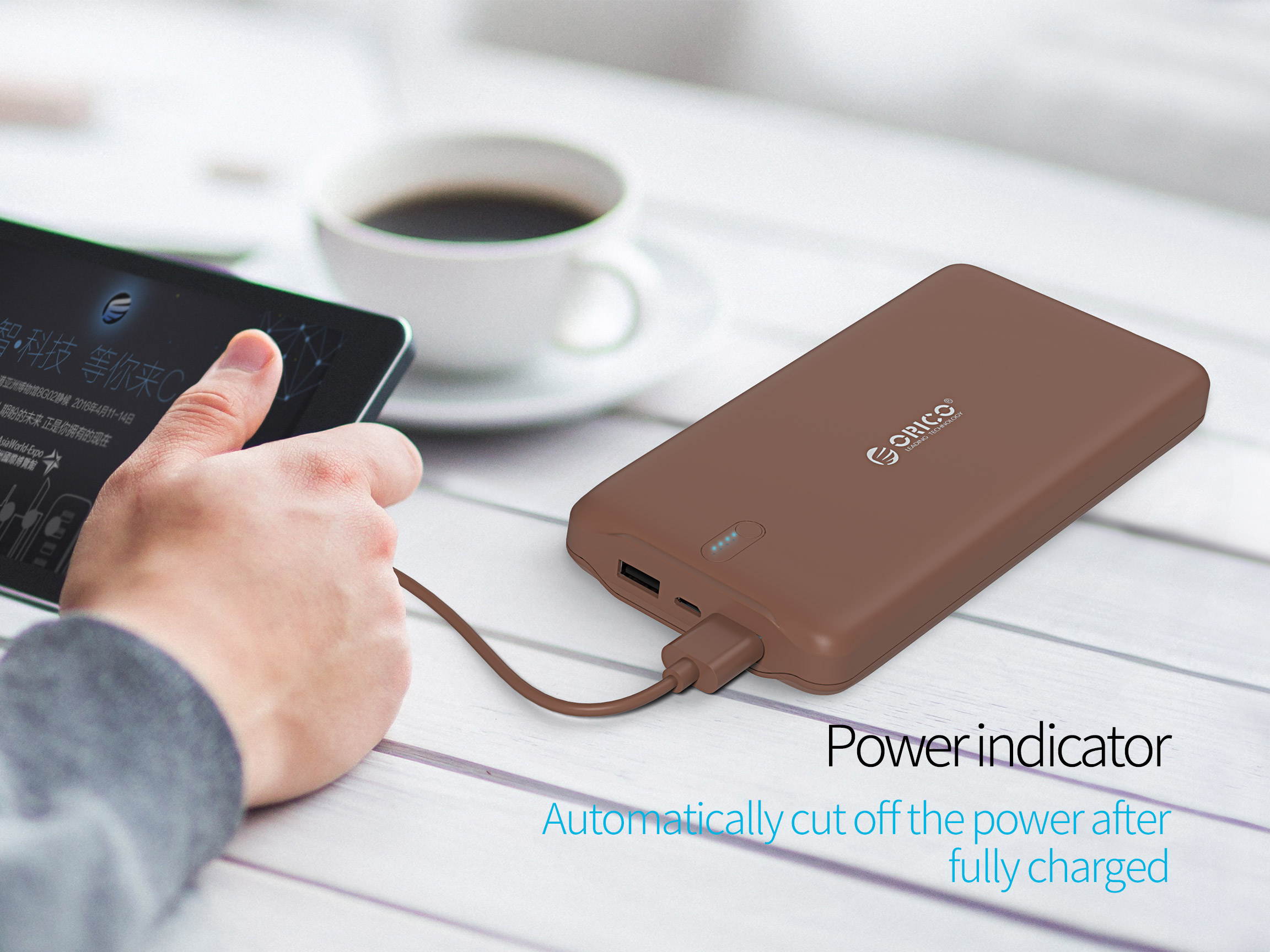 ORICO 20000mAh High Capacity Battery Charger Dual USB Port External Mobile Battery Pack, Battery Power Backup for iPhone 7 Plus/6s, iPad, iPod, Samsung Galaxy, Cell Phones, Tablet