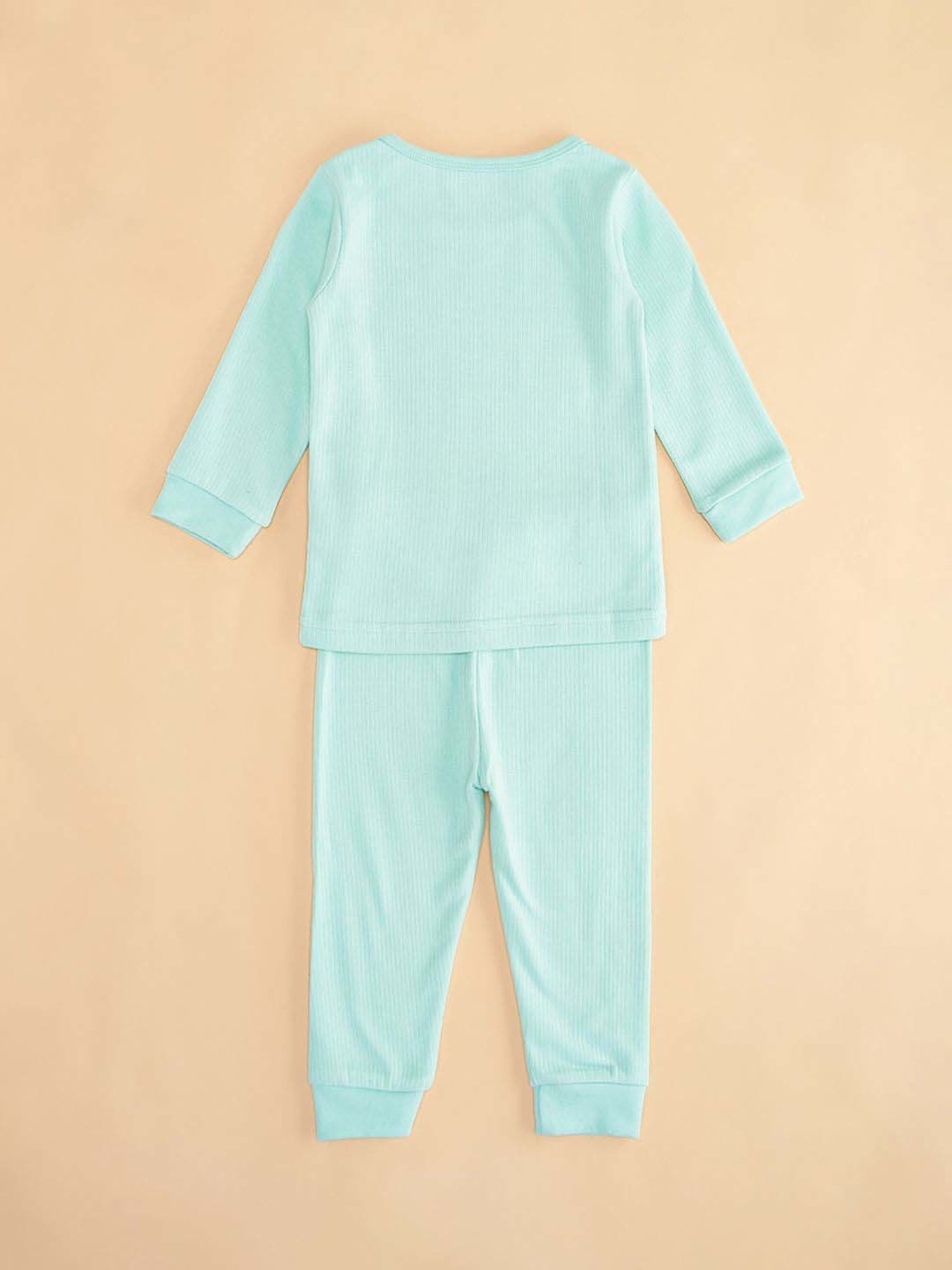 Pantaloons Baby Kids Mint Green Regular Fit Full Sleeves Thermal Set