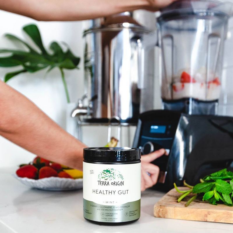 Terra Origin Healthy Gut Powder Mint - 7.83oz