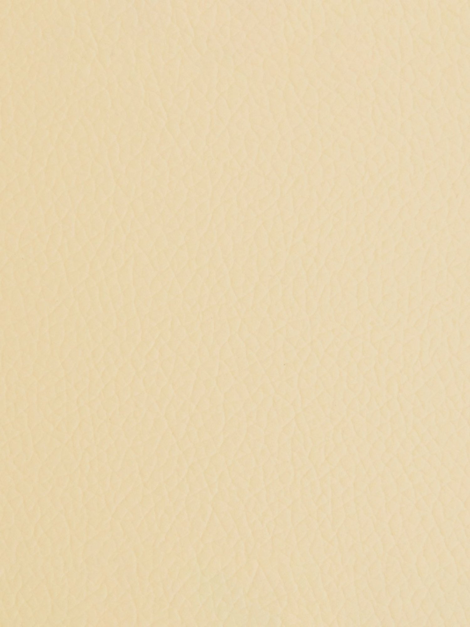 Godrej Interio Terrene Beige Wood Dining Chair (Set of 2)