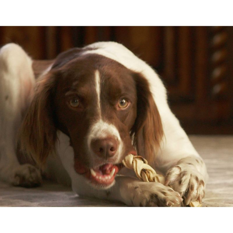 Buffalo Range Jerky Braids Hickory Smoked Flavor Rawhide Chew Dog Treats - 10ct