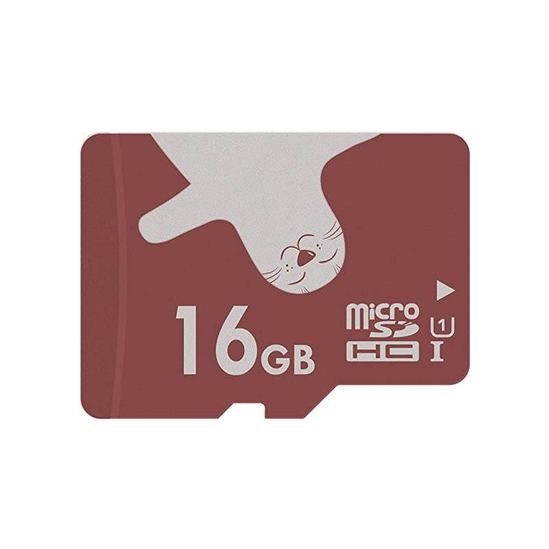 16GB UHSI U1 Class 10 C10 microSDHCTF Flash Memory Cards 2 pcs wSD adapters