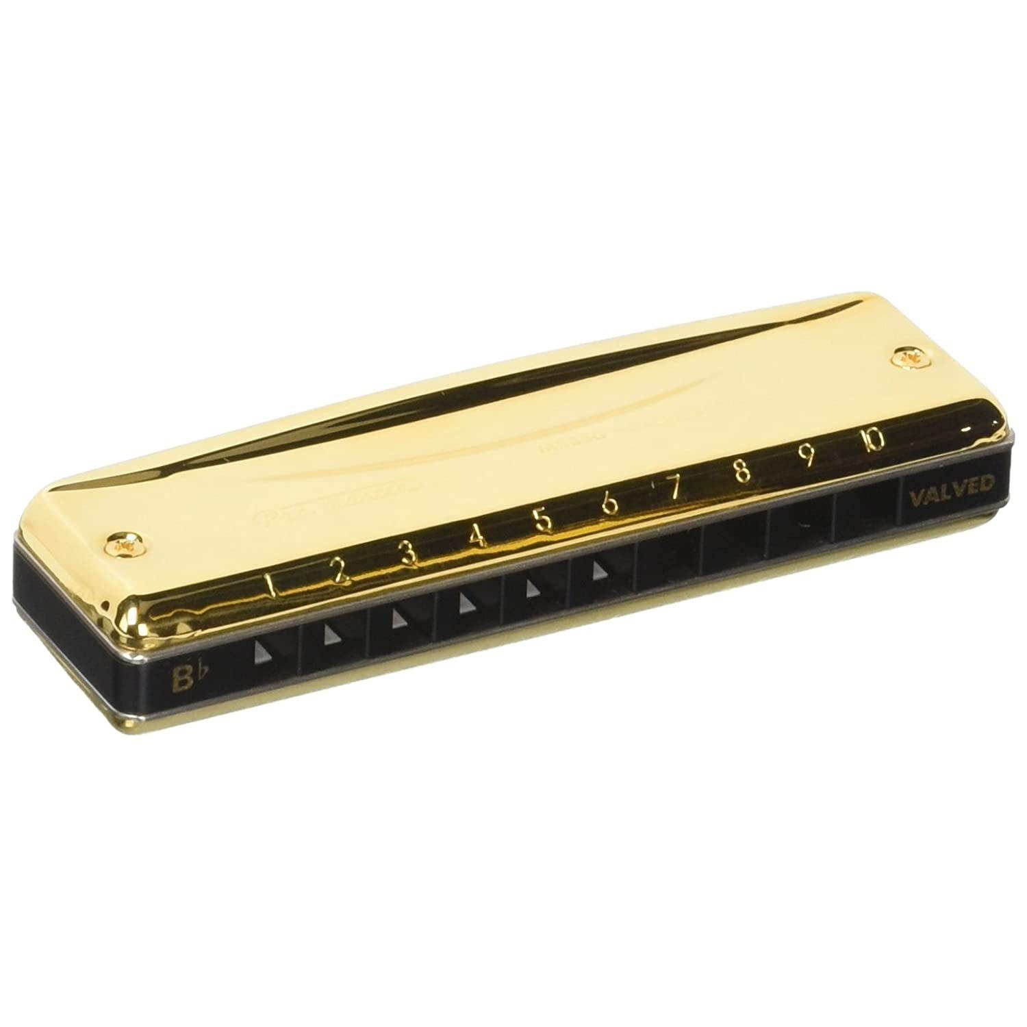 Suzuki MR-350VG-BB Promaster Valved Gold Deluxe 10-Hole Diatonic Harmonica, Key of Bb