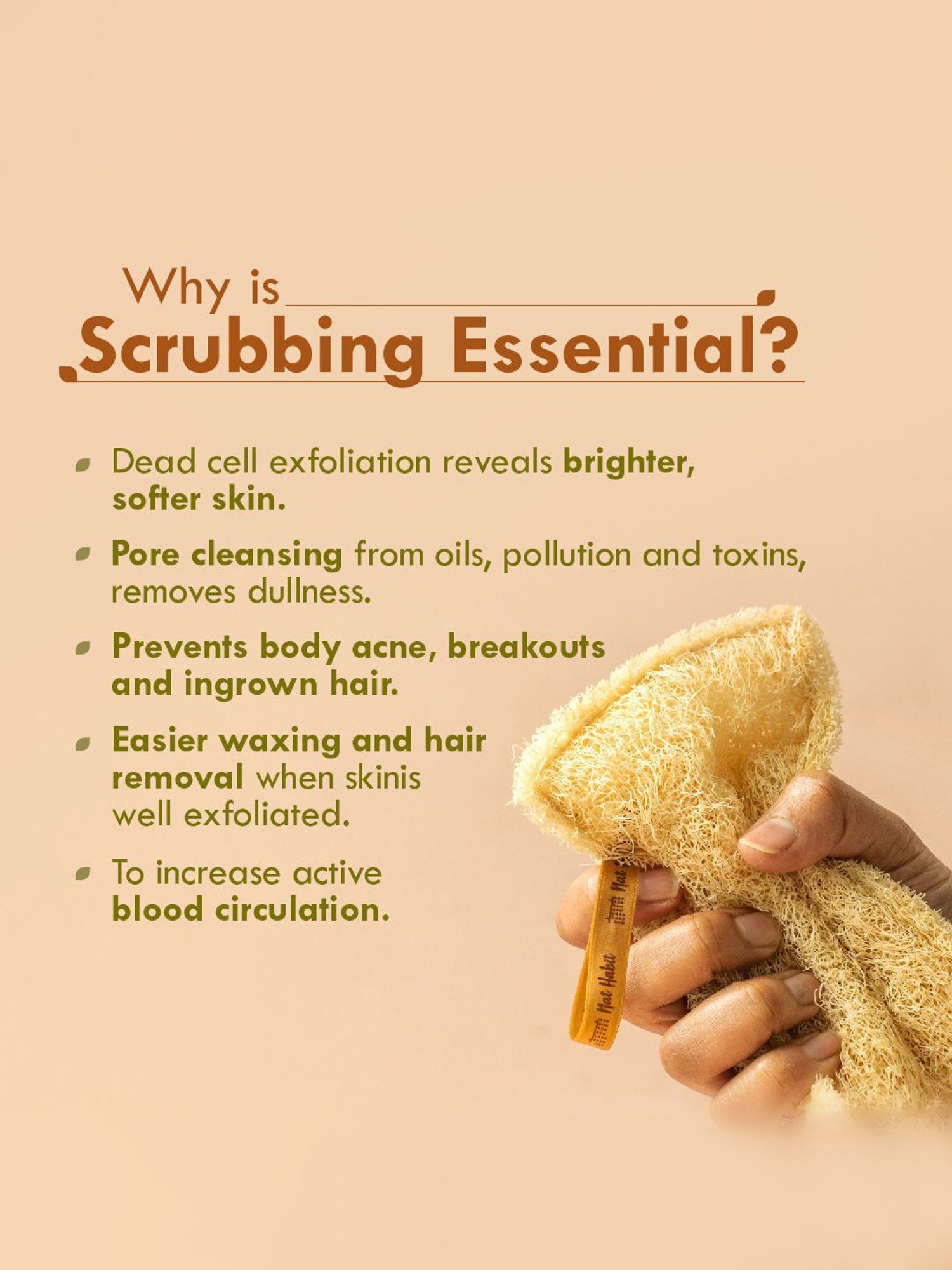 Mei Apothecary Jade Gua Sha Facial Massage Beauty Tool