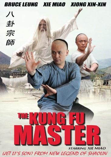 The Kung Fu Master DVD
