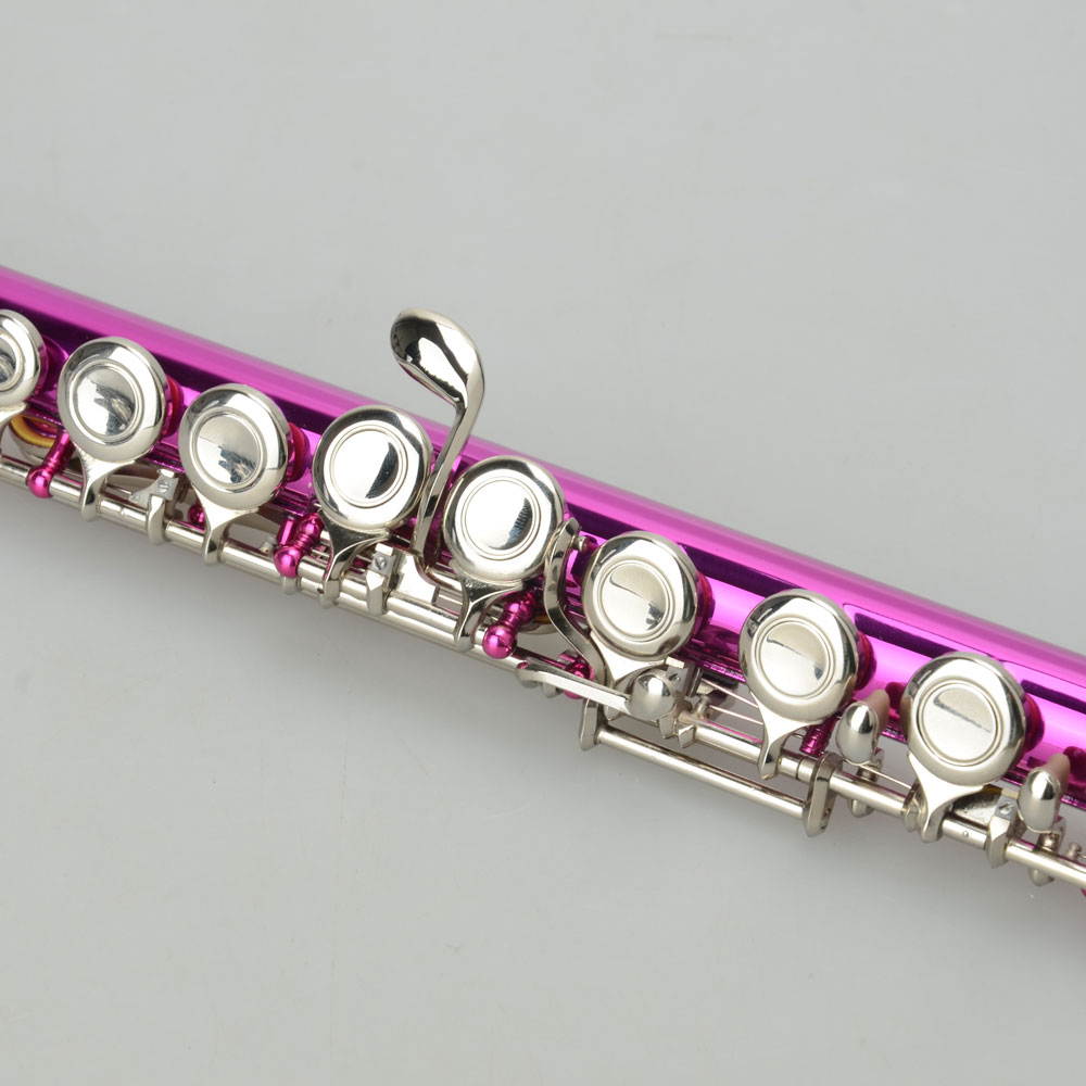 Standard Rose Red School Band Student 16 Closed C Flute with Case&Accessories