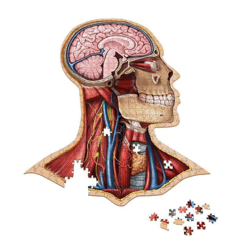 Genius Games Dr. Livingston's Human Anatomy: The Human Head Jigsaw Puzzle - 538pc