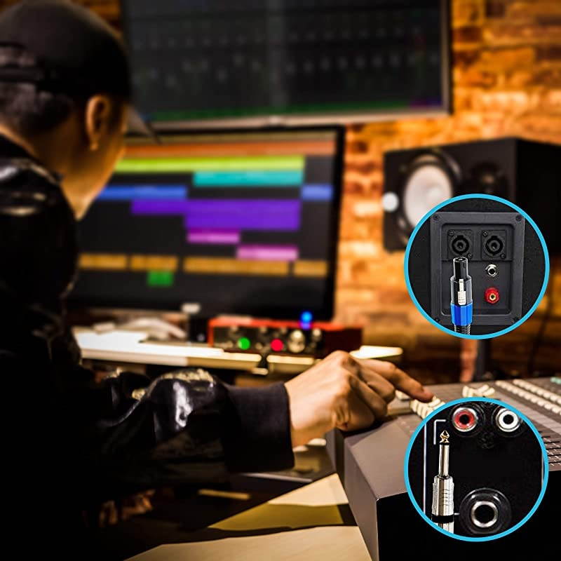 Speakon to 14 Audio Cord Speakon Connector to 14 Inch Male Connection 30 ft 12 Gauge Black Heavy Duty Professional Speaker Cable Wire Delivers Sound  PPSJ30