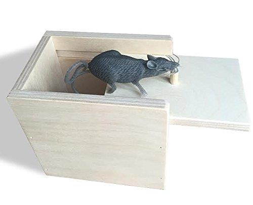 Wooden Surprise Box, Mouse, a Funny Practical Joke Toy